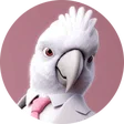 TobiasRenner_BER