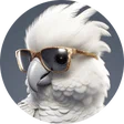 moni_zockt